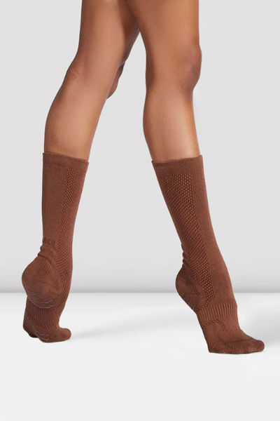Blochsox cocoa
